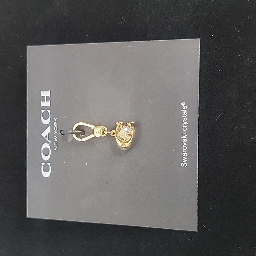 Coach Signature C Necklace charm
